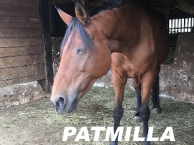 Patmilla